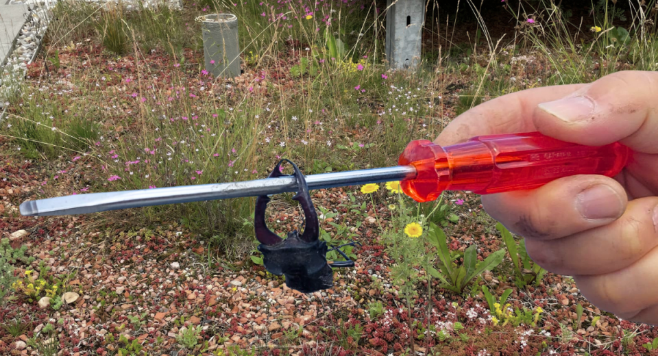 Gründächer sind ein faszinierendes Beispiel dafür, wie sich Naturschutz, Ästhetik und Wirtschaftlichkeit auf dem Dach verbinden lassen.