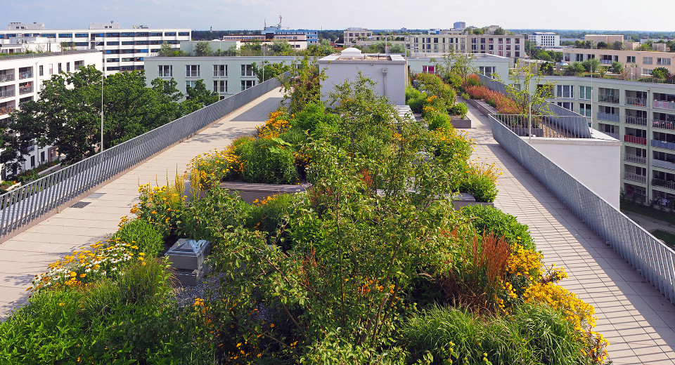 Retentionsdächer und Monitoring: Symbiose auf dem Flachdach